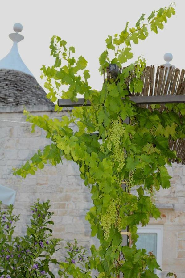 Tenuta Montanaro Locorotondo Eksteriør billede